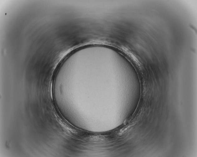 X0000094421272200711291541