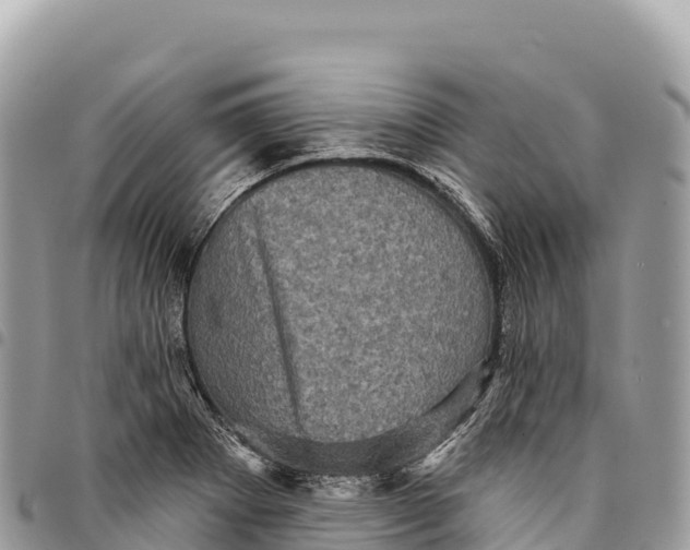 X0000094421273200711291541