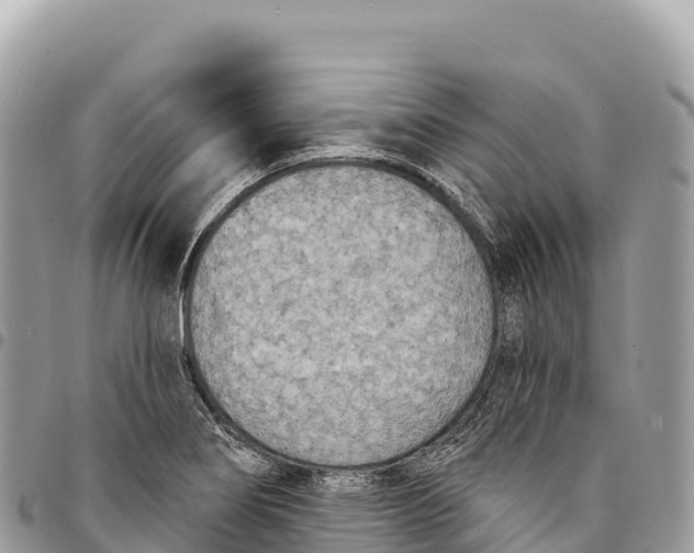X0000094421274200711291541