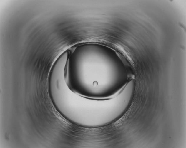 X0000094421276200711291541