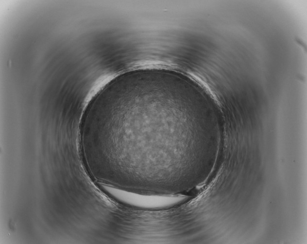 X0000094421277200711291541
