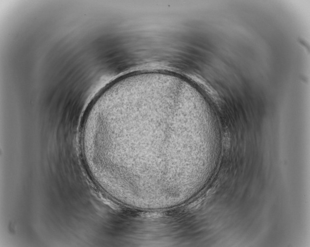 X0000094421278200711291541