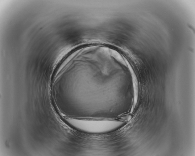 X0000094421279200711291541