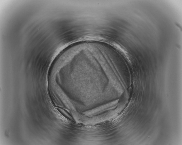 X0000094421280200711291541