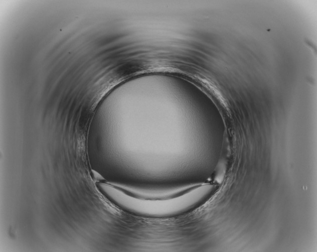 X0000094421281200711291541