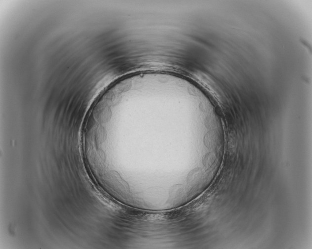 X0000094421283200711291541