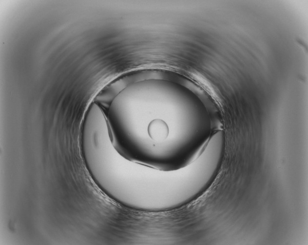 X0000094421284200711291541