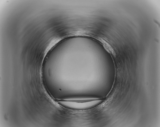 X0000094421285200711291541