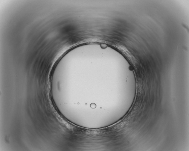 X0000094421286200711291541