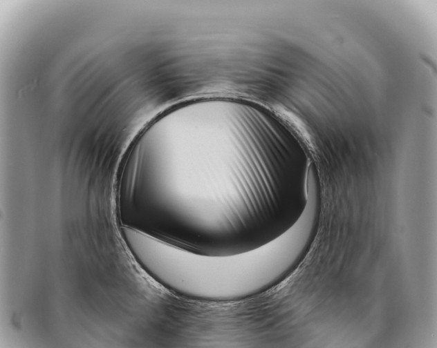 X0000094421288200711291541