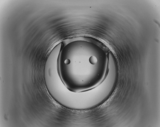 X0000094421289200711291541