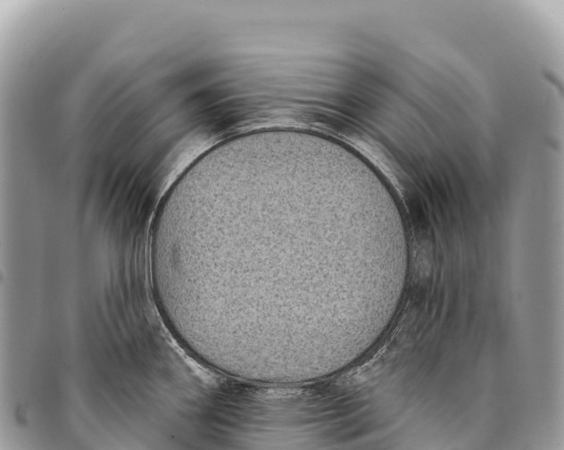 X0000094421290200711291541