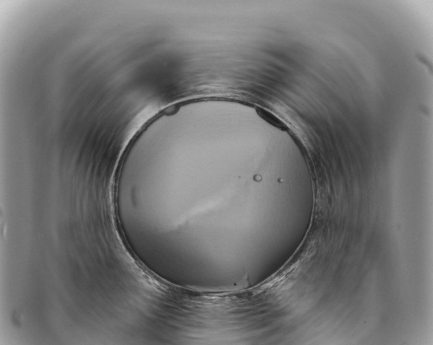 X0000094421291200711291541