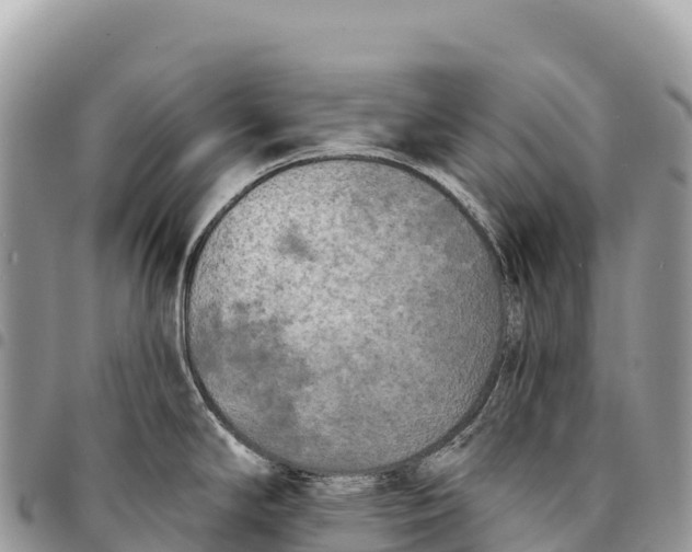 X0000094421294200711291541