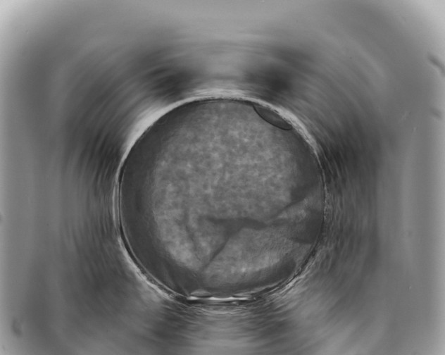X0000094421295200711291541