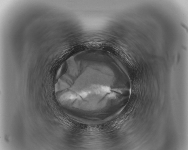 X0000094421297200711291540