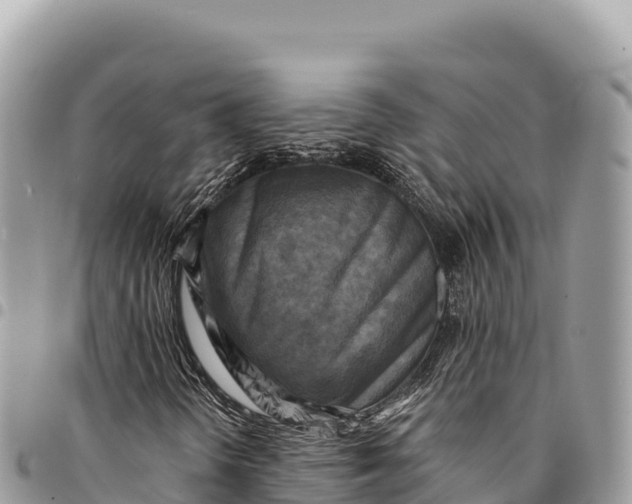 X0000094421298200711291540