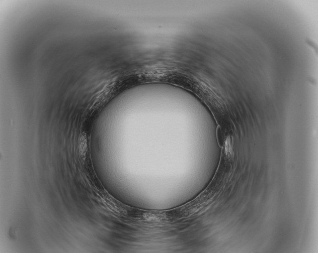 X0000094421299200711291540