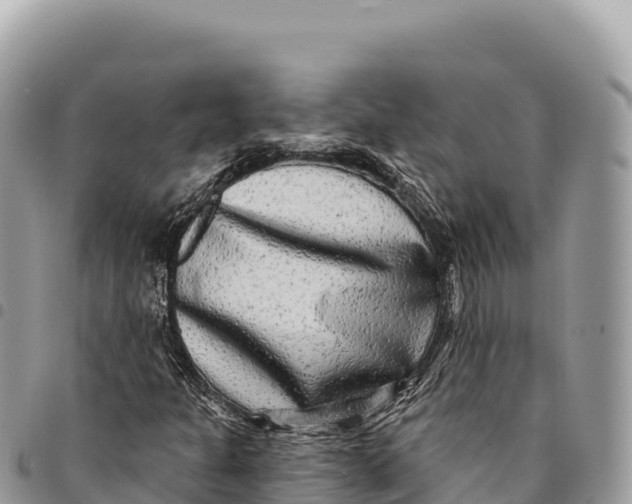 X0000094421301200711291540