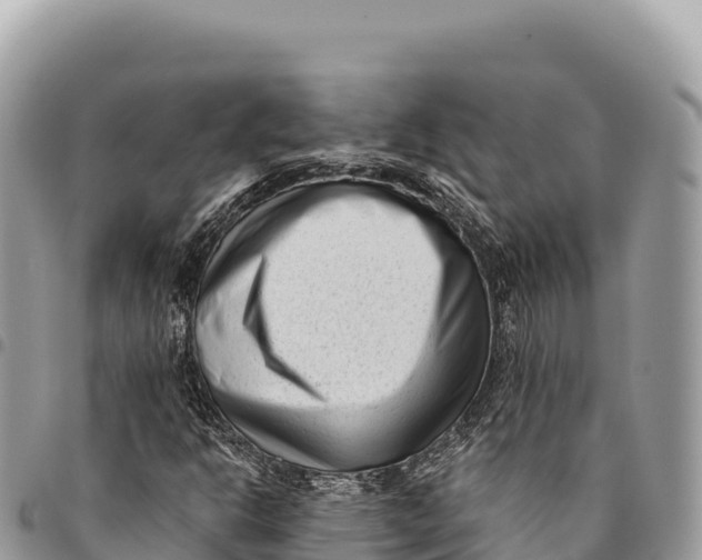 X0000094421302200711291540