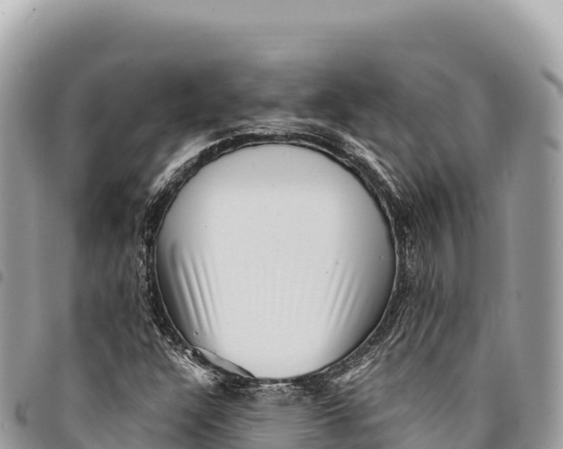 X0000094421304200711291540