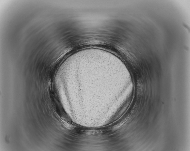 X0000094421305200711291540