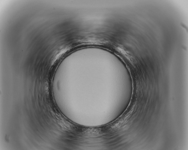 X0000094421307200711291540