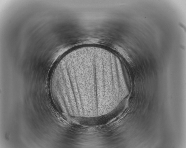 X0000094421308200711291540