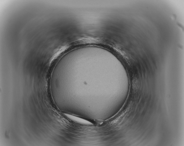 X0000094421309200711291540