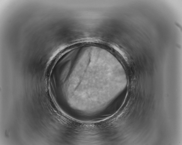 X0000094421310200711291540