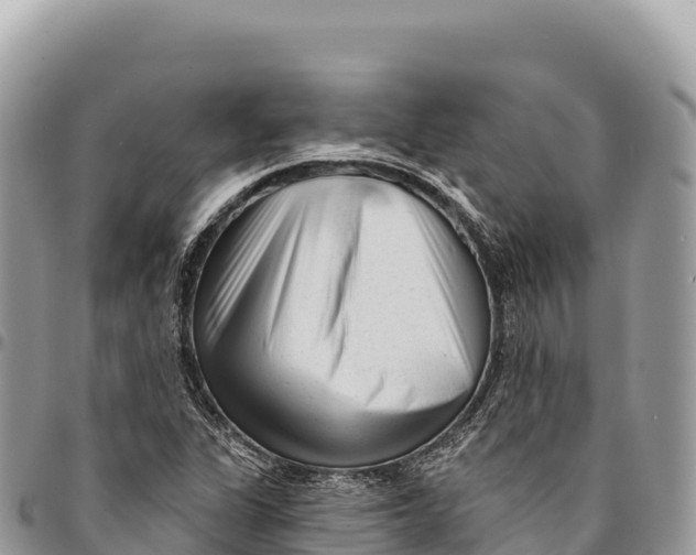 X0000094421311200711291540