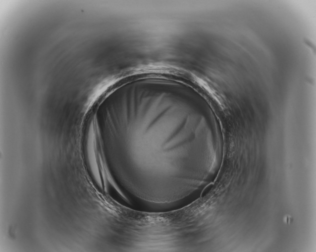 X0000094421312200711291540