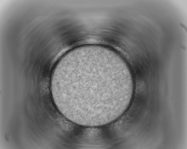 X0000094421314200711291540