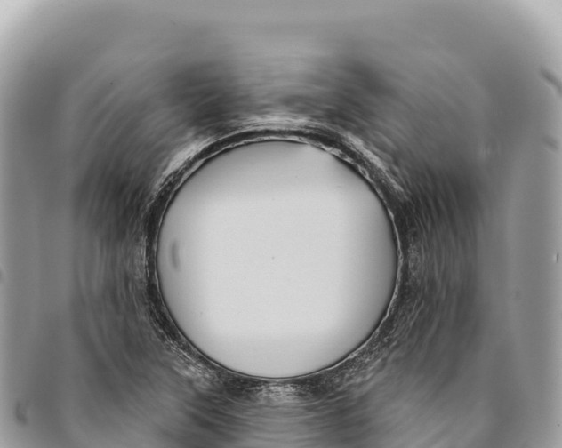 X0000094421315200711291540