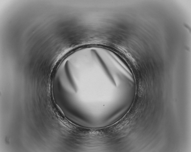 X0000094421316200711291540