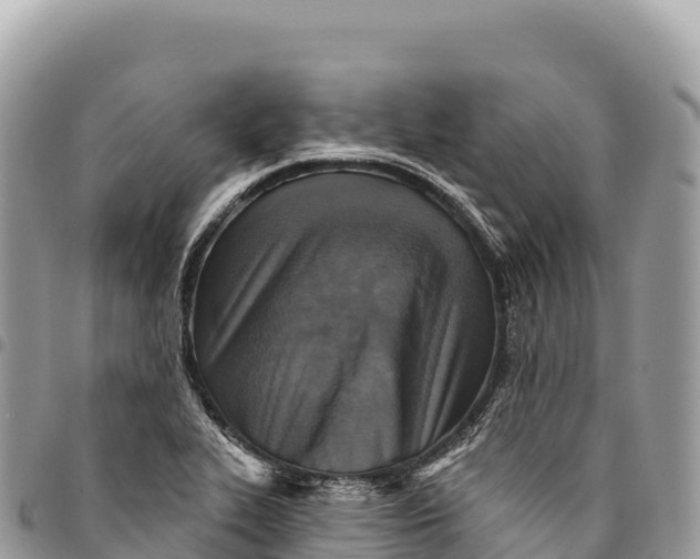 X0000094421319200711291540