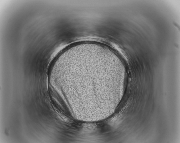 X0000094421320200711291540