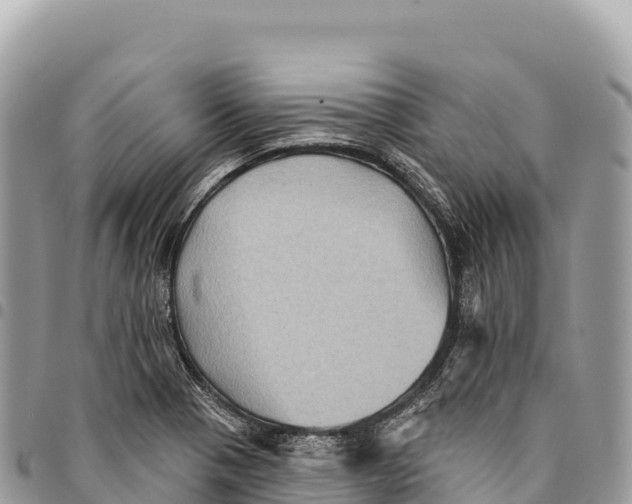 X0000094421321200711291540