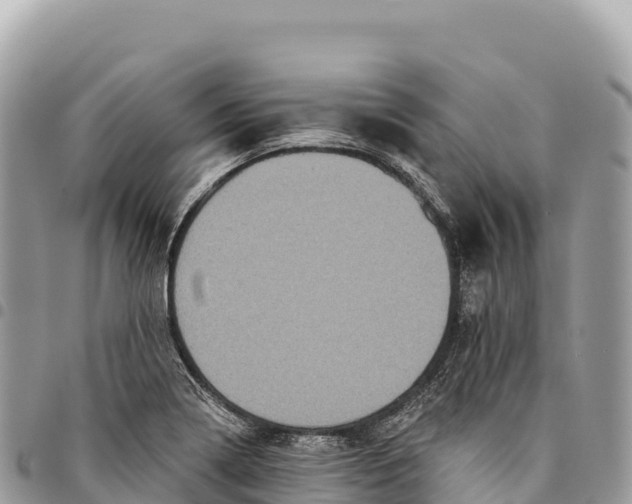 X0000094421322200711291540