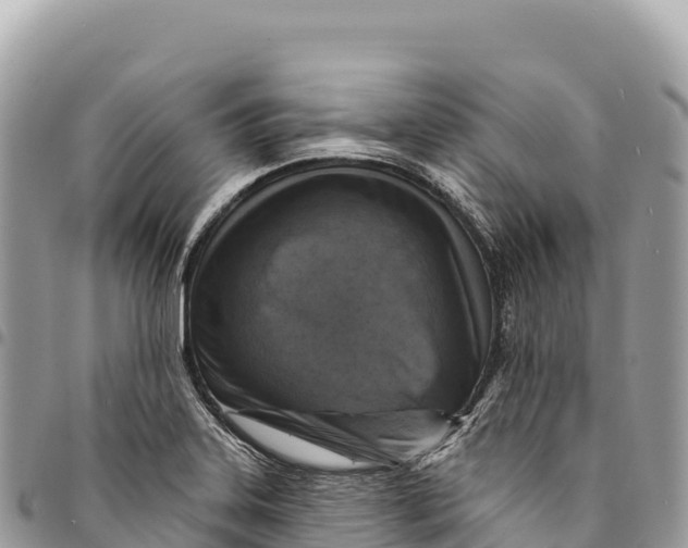 X0000094421323200711291540