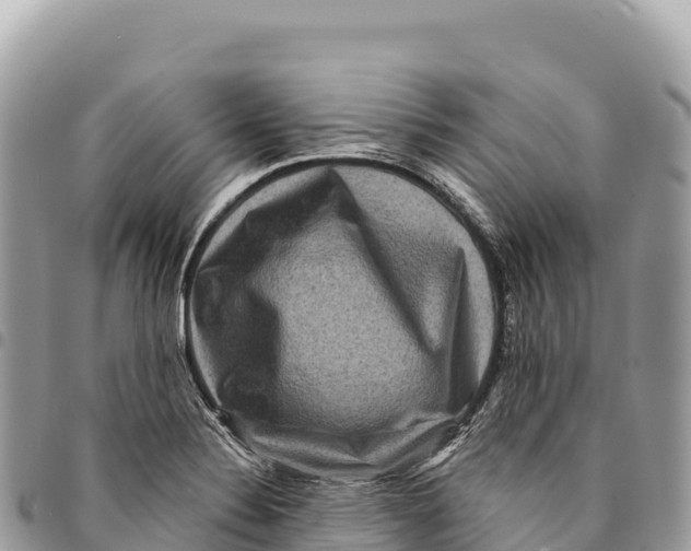 X0000094421324200711291540