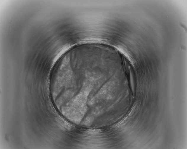 X0000094421325200711291540