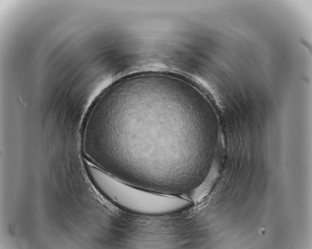 X0000094421326200711291540
