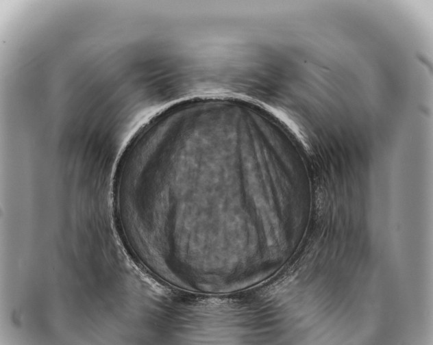 X0000094421327200711291540