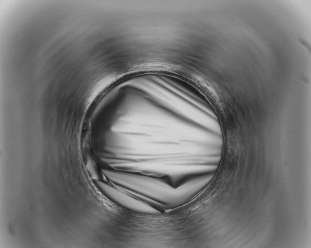 X0000094421328200711291540