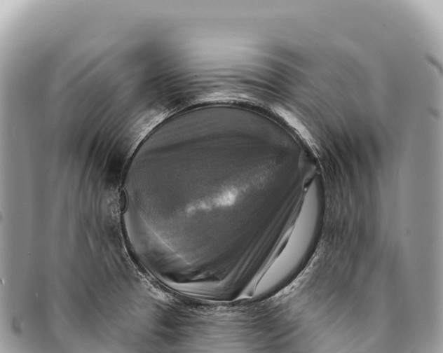 X0000094421329200711291540