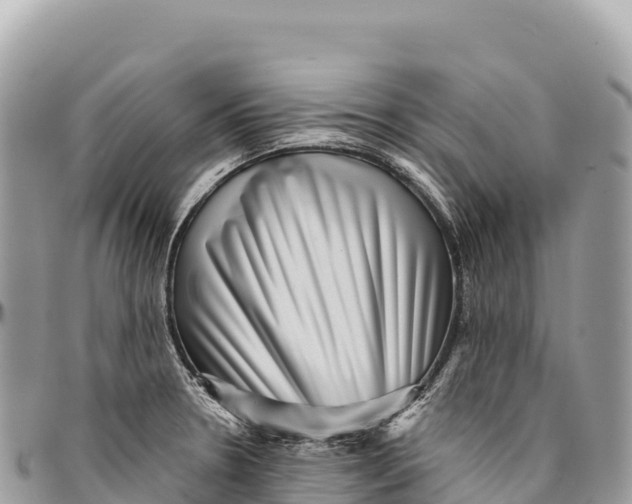 X0000094421330200711291540