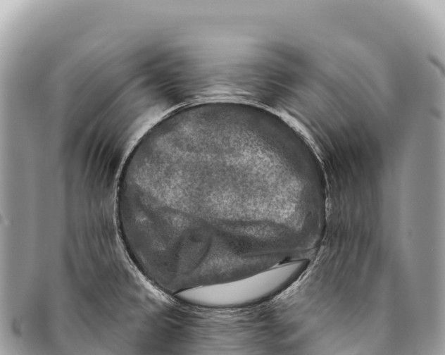 X0000094421333200711291540