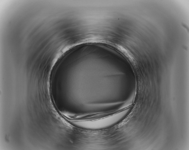 X0000094421334200711291540