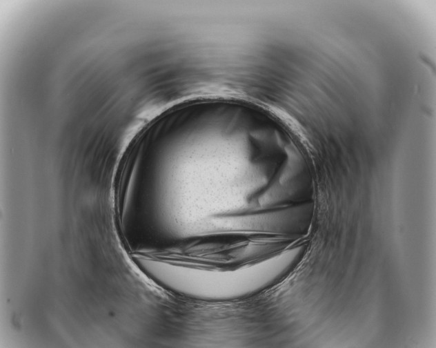 X0000094421335200711291540